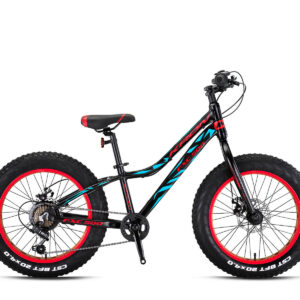 FXC500 - 20" MTB Erkek - M.Disk