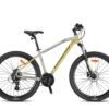 XC150 - 29" MTB Erkek - H.Disk